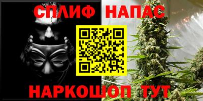 прущие крисы Донской