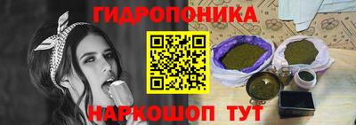 соль ск Дубна