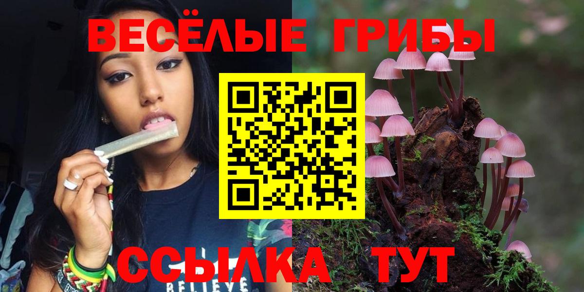 Псилоцибиновые грибы ЛСД  Вход с VPN  наркошоп  Галлюциногенные грибы ЛСД  Якутск 